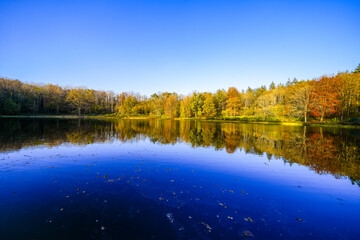 View of the Windsborn Kratersee and the surrounding landscape. Nature at the lake in the Eifel...