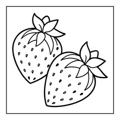 vector illustration of a white background