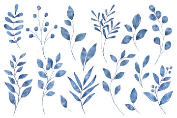 Blue leaves watercolor set. Hand painting floral illustration. Indigo leaf, plants, foliage, branches isolated on white background.