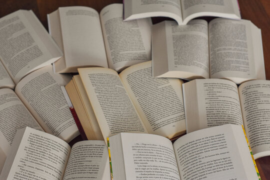 recopilaci&oacute;n de libros