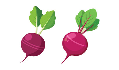 Two vibrant cartoon radishes with green leaves on a white background
