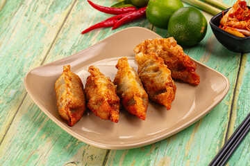 Asian fried stuffed dumplings gyoza