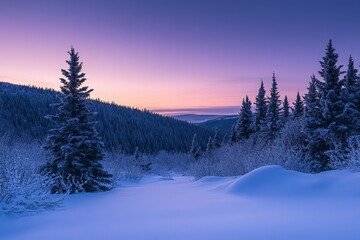 Snow-covered pine trees with purple and pink sky in mountainous landscape