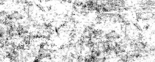 Texture of dust particle and dust grain on white background. Luxury white paper texture with speckled grunge black and white crack paper texture design. black and white grunge background