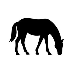 Fototapeta premium Horse Silhouette Grazing Isolated on White Background
