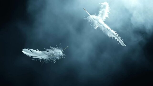 Three white feathers are floating in the air above a dark blue sky. Concept of tranquility and calmness, as the feathers seem to be weightless and free-spirited. The blue sky serves as a backdrop