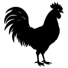 Rooster crowing silhouette on white background 