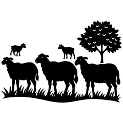 sheep and lambs