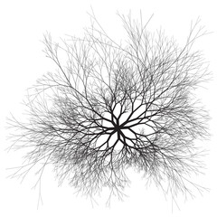 Branching network or tree viewed from above. Binary fractal algorithmic design.
