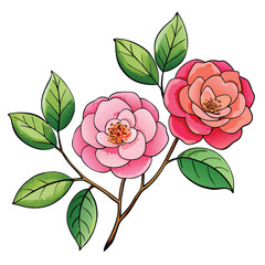 Pink rose flower with leaves vector illustration for floral design and decoration