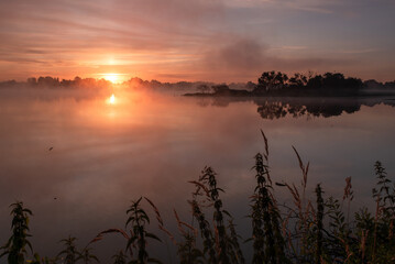 Piękny, letni wschód słońca we mgle, Polska.  © Elżbieta Kaps
