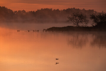 Piękny, letni wschód słońca we mgle, Polska.  © Elżbieta Kaps