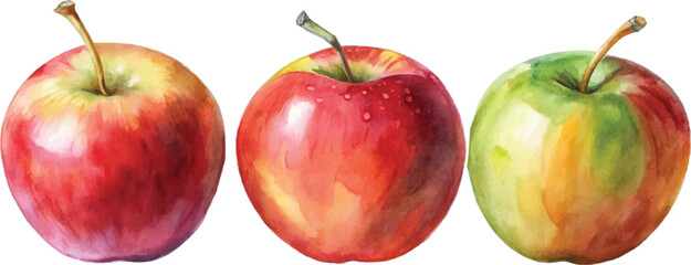 Three Watercolor Apples