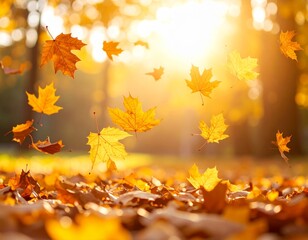autumn leaves background