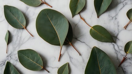 Eucalyptus leaves scattered on a marble surface creating a natural and calming composition view from above