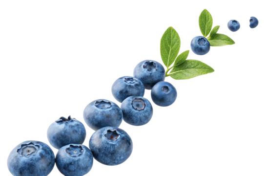 Fresh blueberries with green leaves arranged in a diagonal line isolated on transparent background