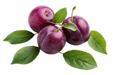 Three ripe purple plums with green leaves on a transparent background isolated on transparent background
