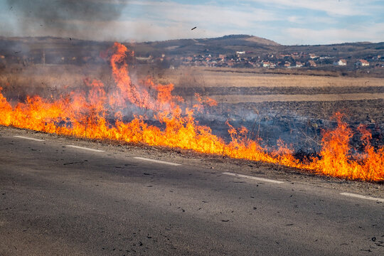 A large fire on the side of the road on a dry summer day
