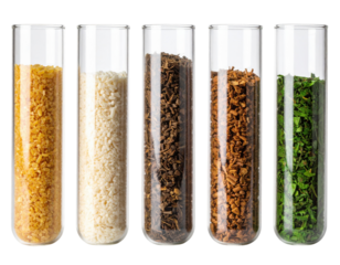 Five glass test tubes filled with different textured and colored granular or leafy substances, arranged in a row.