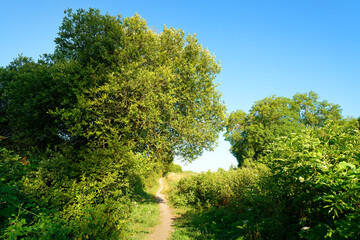 Obraz premium Country path in the lower valleys of the Juine and the Essonne river. Écharcon village 