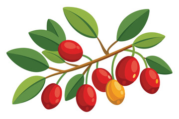 Vibrant Red and Yellow Berries on Branch A Detailed Illustration