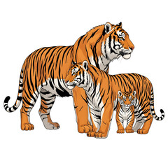 Naklejka premium Wild and Majestic Tiger in Various Poses and Angles Showing Power and Intensity