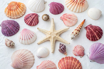 Assortment of colorful seashells and a starfish isolated on white background