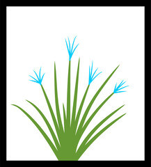 green grass and blue flowers