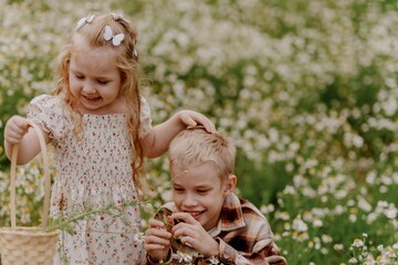 A boy with hearing aids and his little sister gather daisies in a sunlit field, sharing a joyful...
