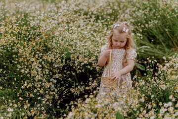 An adorable 3-year-old girl collects daisies in a wicker basket amidst a blooming field, radiating pure childhood joy and harmony with nature. Perfect for summer-themed and family content