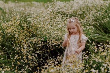 An adorable 3-year-old girl collects daisies in a wicker basket amidst a blooming field, radiating pure childhood joy and harmony with nature. Perfect for summer-themed and family content