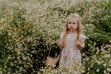 An adorable 3-year-old girl collects daisies in a wicker basket amidst a blooming field, radiating pure childhood joy and harmony with nature. Perfect for summer-themed and family content