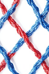 Red and Blue Rope Intertwined in a Pattern