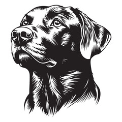 Black dog head silhouette on white background, dog head vector