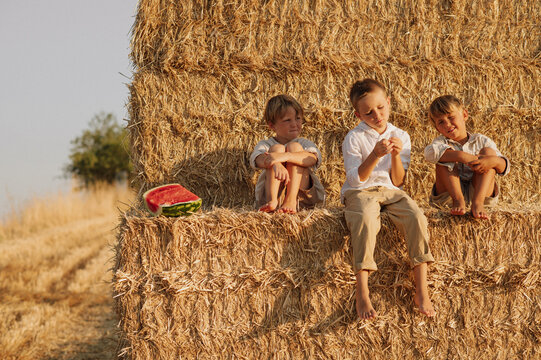 Three boys sitting on a haystack next to a watermelon in warm summer sunlight. Rural childhood, friendship and seasonal lifestyle concept in the countryside. - Powered by Adobe