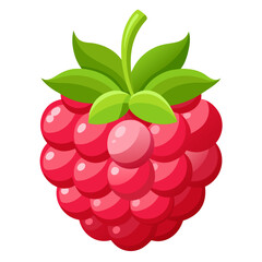 Raspberry Fruit in Whole and Macro View on Transparent Background

