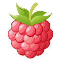 Raspberry Fruit in Whole and Macro View on Transparent Background

