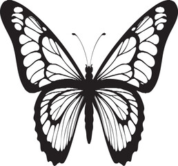  Elegant black and white butterfly vector art, perfect for nature, design, and decorative projects.