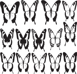Seamless black and white butterfly pattern, ideal for textiles, backgrounds, and nature-themed design projects.