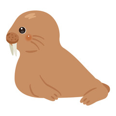 セイウチの横向きイラスト