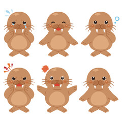 セイウチのキャラクターイラスト　表情セット