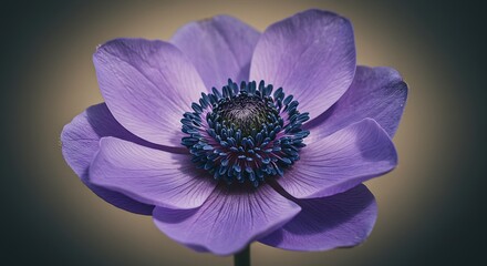 Naklejka premium close up of a purple flower