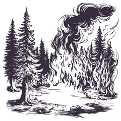forest fire, burning forest, take care of nature, hand drawn vector illustration realistic sketch