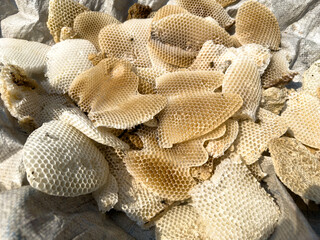 Collected Natural Honeycombs After Harvest – Organic Beekeeping and Honey Production in Bangladesh