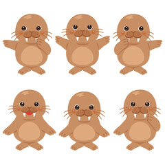 指さしをするセイウチのキャラクターイラストセット