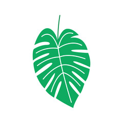 Summer  Green Tropical Leaf