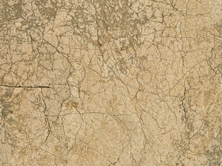 Cracked earth surface displaying intricate patterns in a dry landscape during daylight