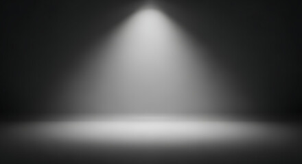 Dramatic spotlight illuminates a spacious, monochrome, subtly textured gradient background scene.