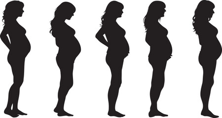 Pregnant Woman silhouettes Belly Growth Collection set. clip art, back lit, beauty, bonding, outline, design element, men