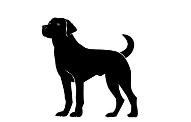 black dog vector illustration